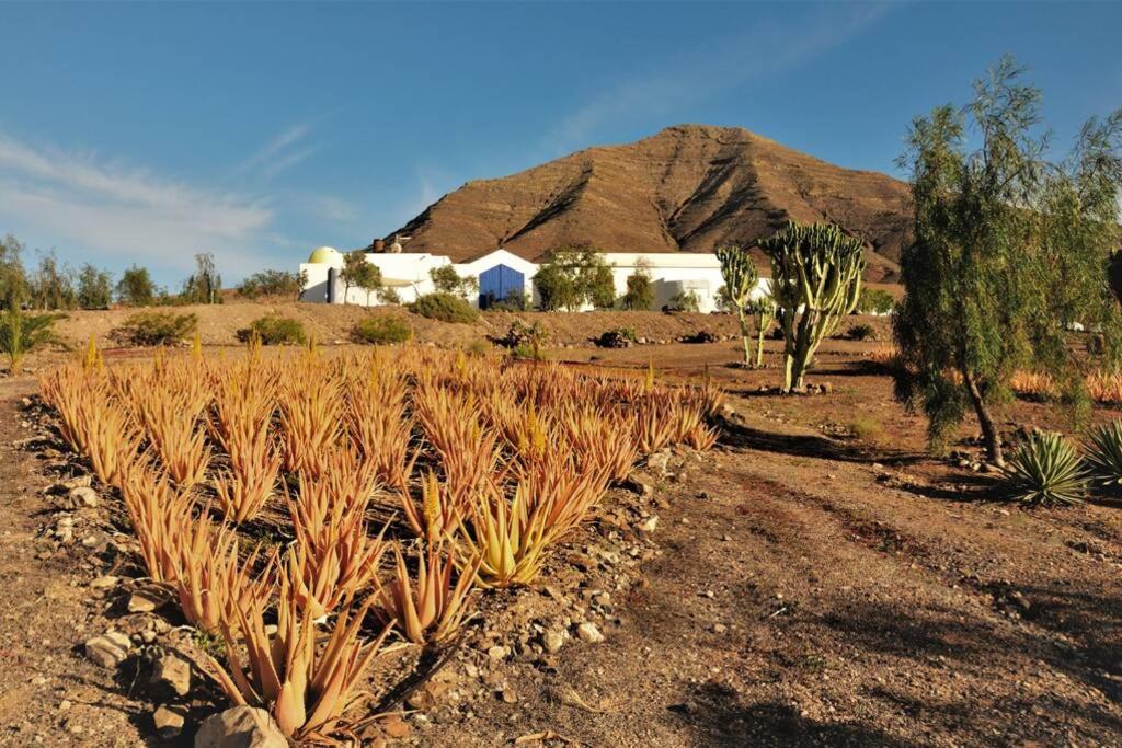 Casa Tranquila Tierra - Eco Retreat Finca Artis Tirma Tarajalejo Exterior foto